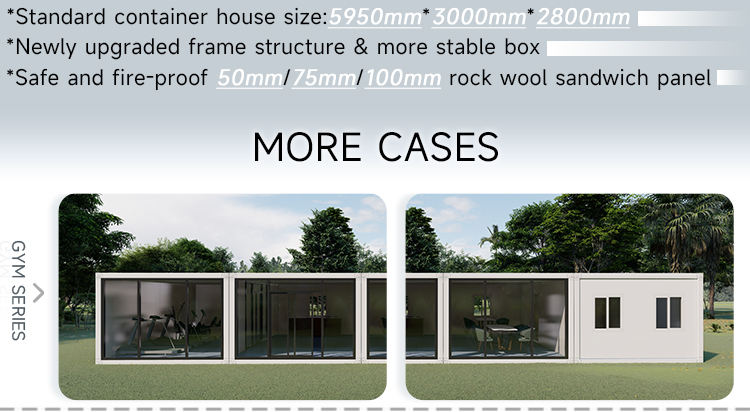 Steel structure modular villa easy assemble modern home,Safety protection anti-earthquake flood relief tent container house