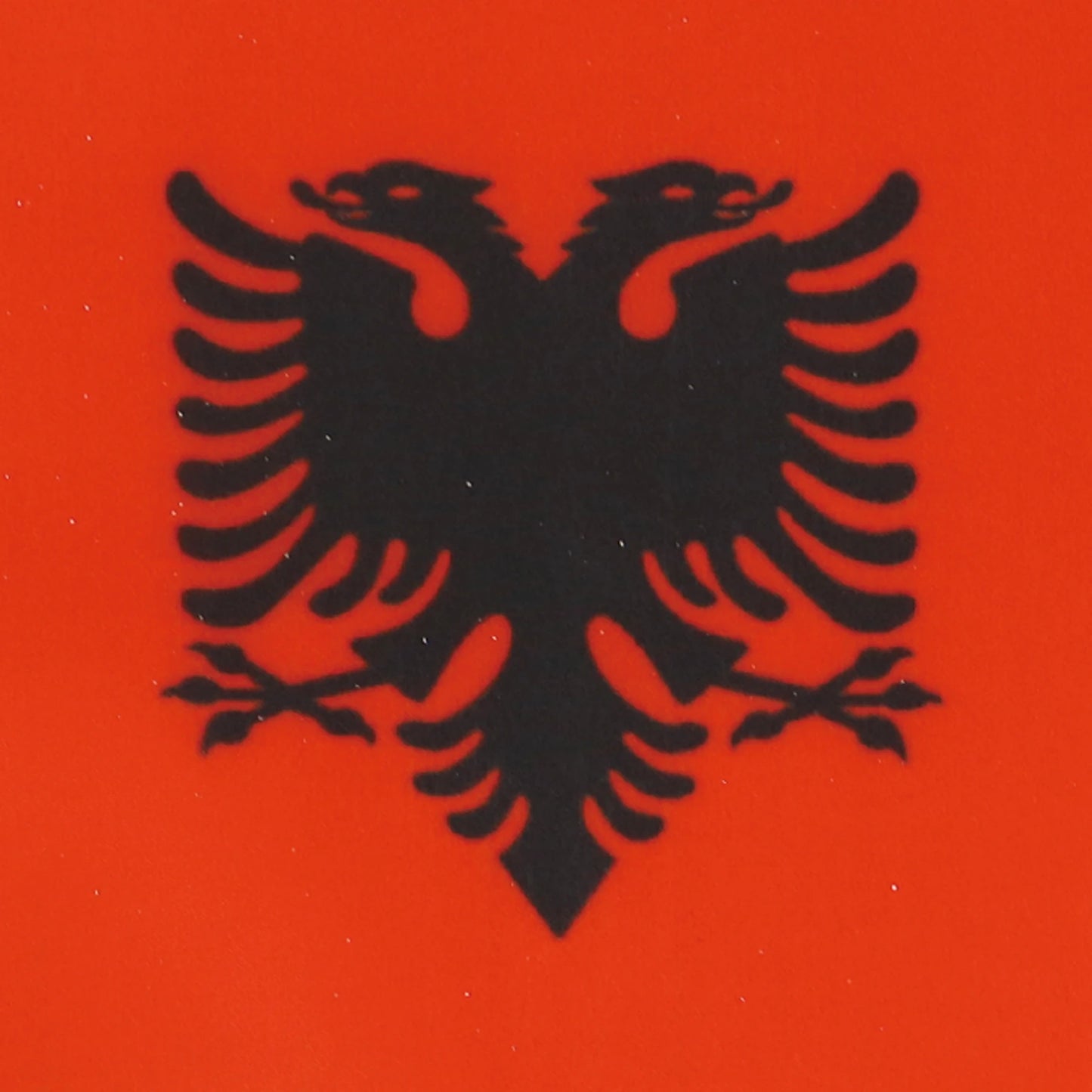 Albania 14x21CM Hand Flags National Flags For Indoor and Outdoor Decorations(10pcs/1set)