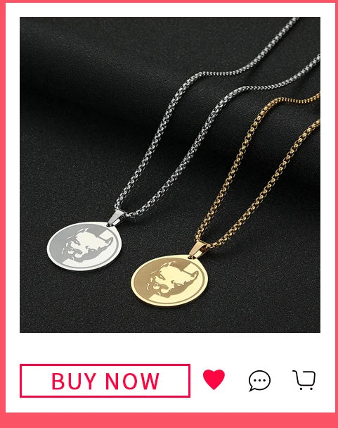 Stainless Steel Albanian Double Headed Eagle Necklace Russian Albania Flag Eagle Pendants Emblem Ethnic Jewelry Gifts Choker