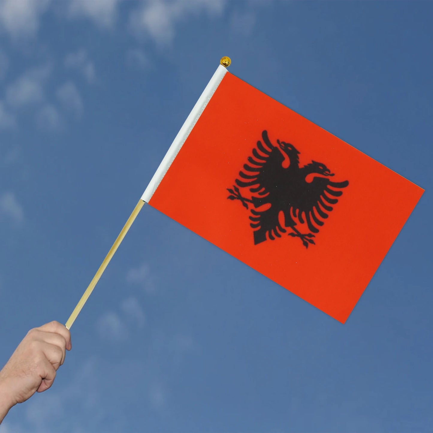 Albania 14x21CM Hand Flags National Flags For Indoor and Outdoor Decorations(10pcs/1set)