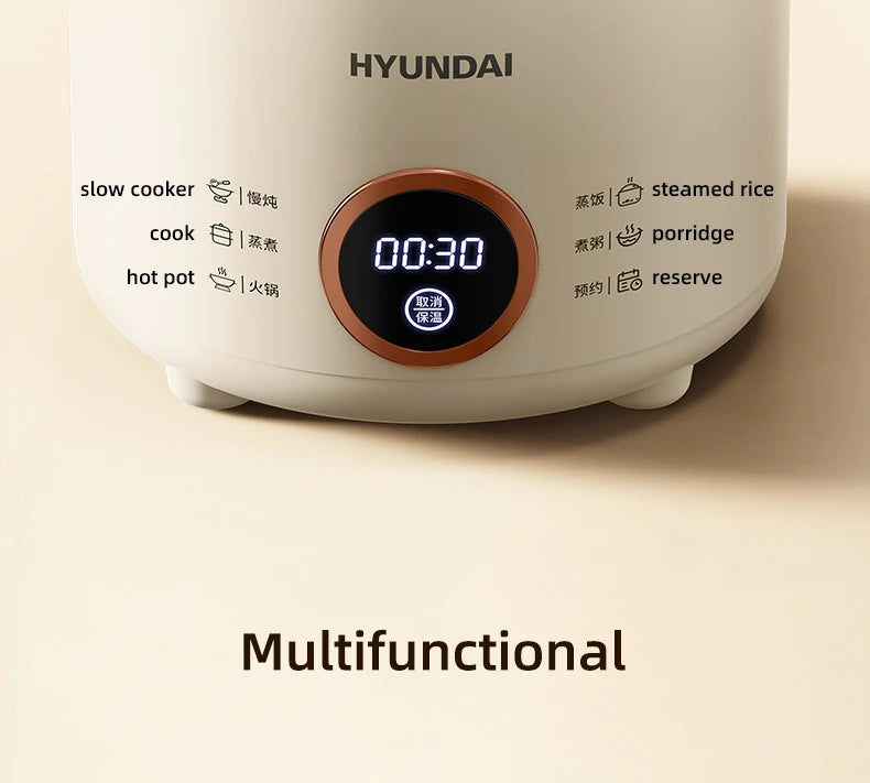 2L Electric Rice Cooker Cooking Pot Mini Multicooker Lunch Box Rice Cookers Hotpot Non-stick Electric Skillet Food Steamer 220V